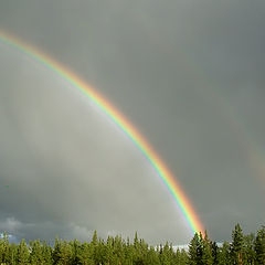 photo "Rainbow"