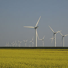 photo "Spring in North-Germany"