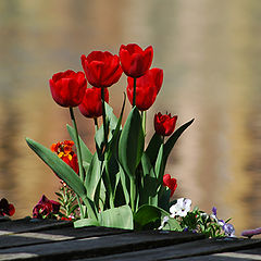 photo "Hearts in the City"