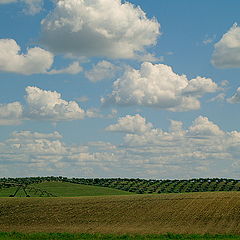 photo "Between sky and... dream !"