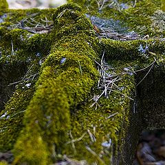 photo "forgotten Christ..."