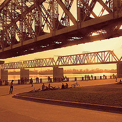 photo "City bridges"