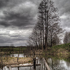 photo "Stalker River"