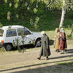 фото "На прогулке..."