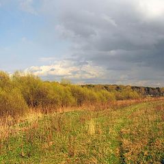 фото "Ранняя весна"