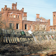 фото "Слабые признаки жизни"