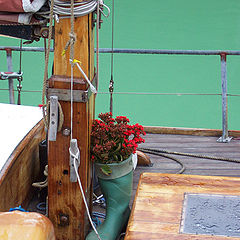фото "sailors flower pot"