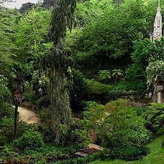 photo "Quinta da Regaleira 02 - The Palace Gardens"