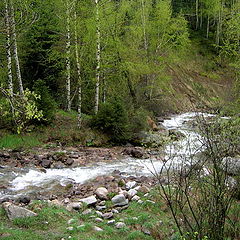 фото "Вид на речку в горах Алматы"