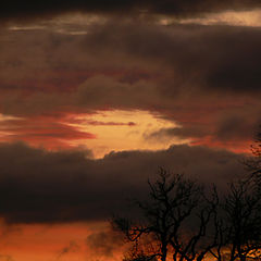 photo "Colourful Sunrise"