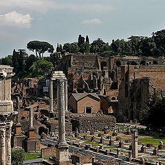 photo "Rome Forum"