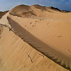 photo "Desert"