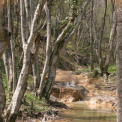 photo "Crimea"