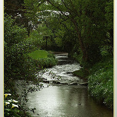 photo "Stepping Stones"