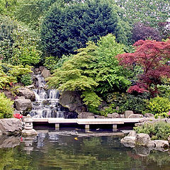 фото "Japanese Garden"