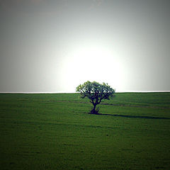 photo "Loneliness"