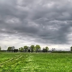 фото "Перед грозой"