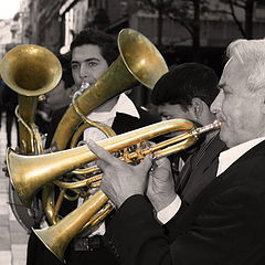 фото ""Golden" Trumpets"