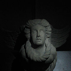 photo "Dark angel"