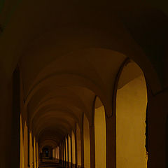 photo "***"