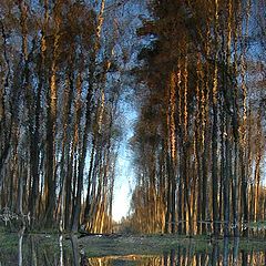 фото "Апрельская акварель"