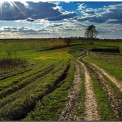 фото "Эх, дороги.."