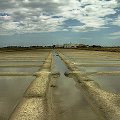 фото "In the salt mines ....."