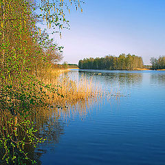 фото "Предзакатная"