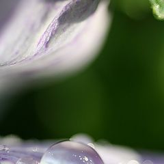 photo "***"