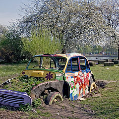 фото "Flower Pot Car"