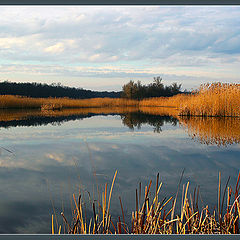 фото "Покой"