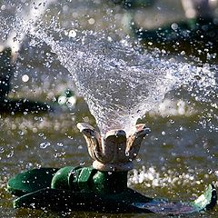 фото "Скульптура из воды"