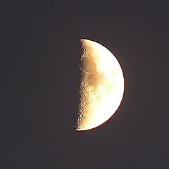 photo "The Moon"