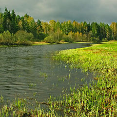 фото "весенняя"