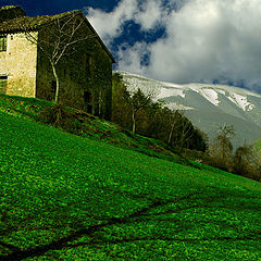 фото "A house in the fields."