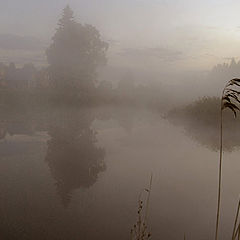 photo "Misty morning"