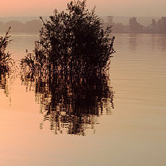 фото "Тишна (половодье2)"