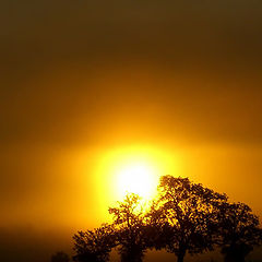 photo "Misty Sunrise"