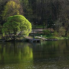 фото "Вуаль"