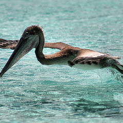 photo "touch down"