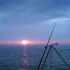 photo "Fishing for the Sun !"