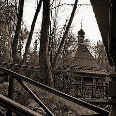 photo "***"