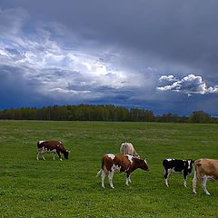 фото "Небо и земля"