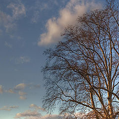 photo "At edge of village"