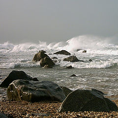 photo "Stepping stones to the boiler !"