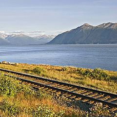 фото "Cook Inlet"