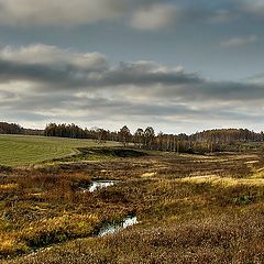 photo "Last day of autumn"