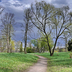 photo "***"