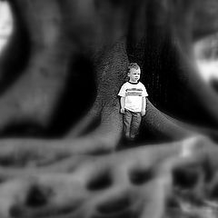 photo "The young boy and ... old roots..."