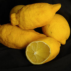 photo "Just lemons. But strange kind of ... :)"